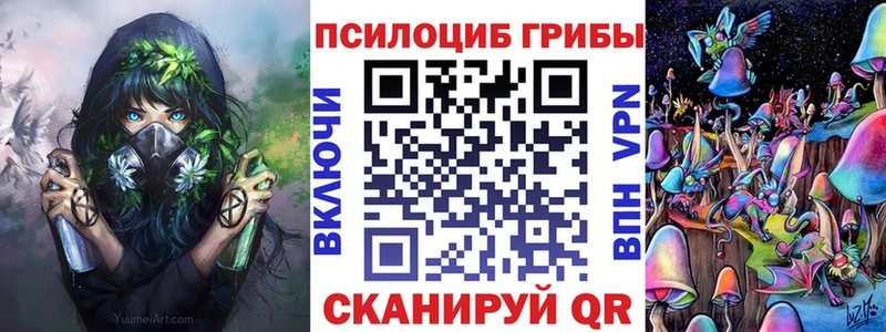 где купить   Неман  Псилоцибиновые грибы мицелий 